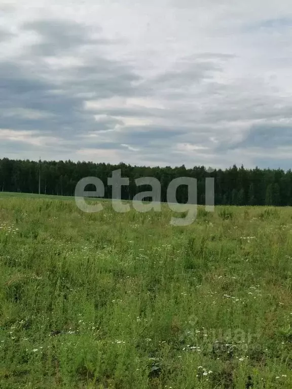 Участок в Брянская область, Жуковский муниципальный округ, д. ... - Фото 0