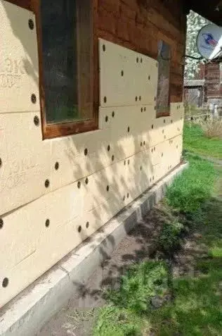 Участок в Алтай, Майминский район, с. Бирюля Совхозная ул., 14 (45.0 ... - Фото 1