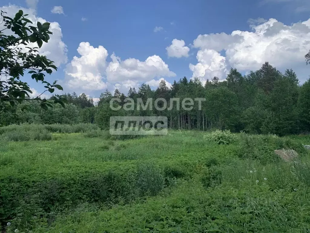 Участок в Ленинградская область, Тосно г. Тосненский район, Тосненское ... - Фото 1