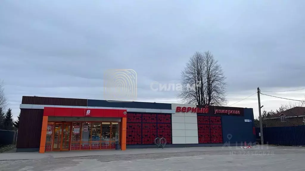 Торговая площадь в Московская область, Чехов муниципальный округ, д. ... - Фото 1