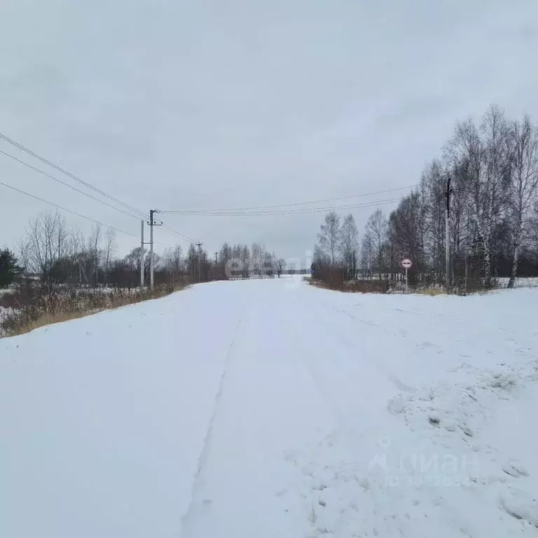 Участок в Ярославская область, Некрасовское с/пос, с. Новодашково  ... - Фото 1