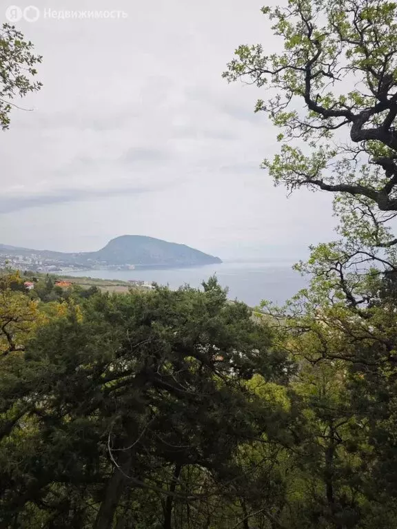 Участок в Республика Крым, муниципальный округ Ялта, посёлок ... - Фото 1