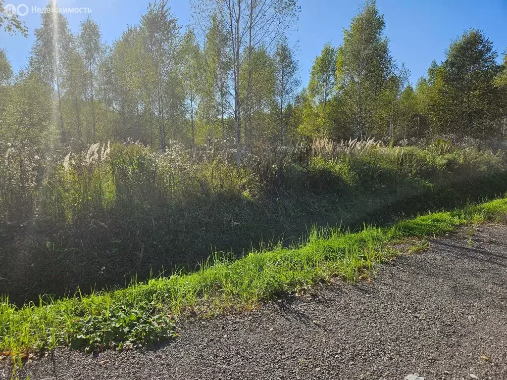 участок в московская область, городской округ чехов, деревня леониха . - Фото 0