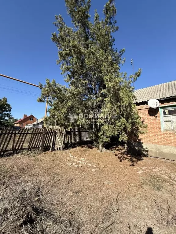 Участок в Ростовская область, Октябрьский район, Красюковская сл. ул. ... - Фото 1