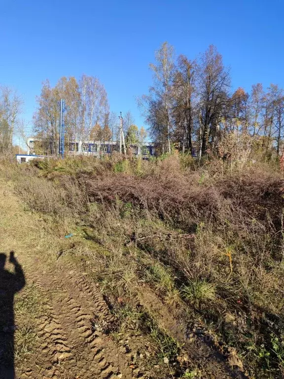 Участок в Калужская область, Кондрово г. Дзержинский муниципальный ... - Фото 2