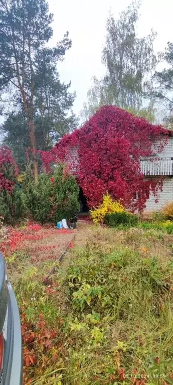 Дом в Чувашия, Новочебоксарск Энергия-2 СНТ,  (35 м) - Фото 1