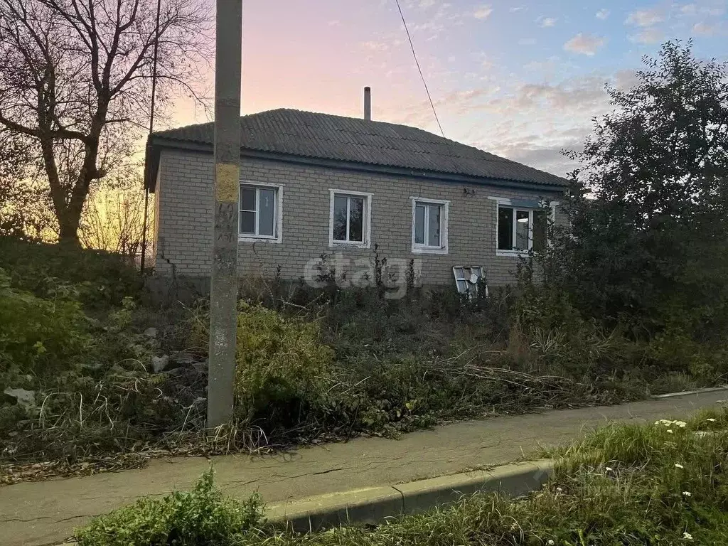 Дом в Воронежская область, с. Верхняя Хава ул. Железнодорожная (68 м) - Фото 0