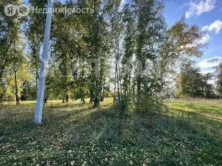 Участок в село Красный Яр, Полевая улица (15 м) - Фото 1