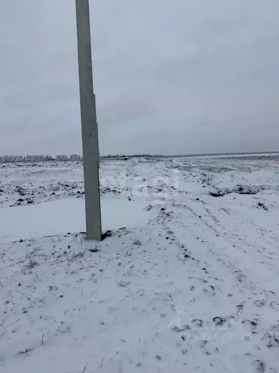 Участок в Белгородская область, Белгородский район, Головинское с/пос, ... - Фото 1