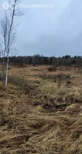 Участок в Волосовский район, Бегуницкое сельское поселение, деревня ... - Фото 0