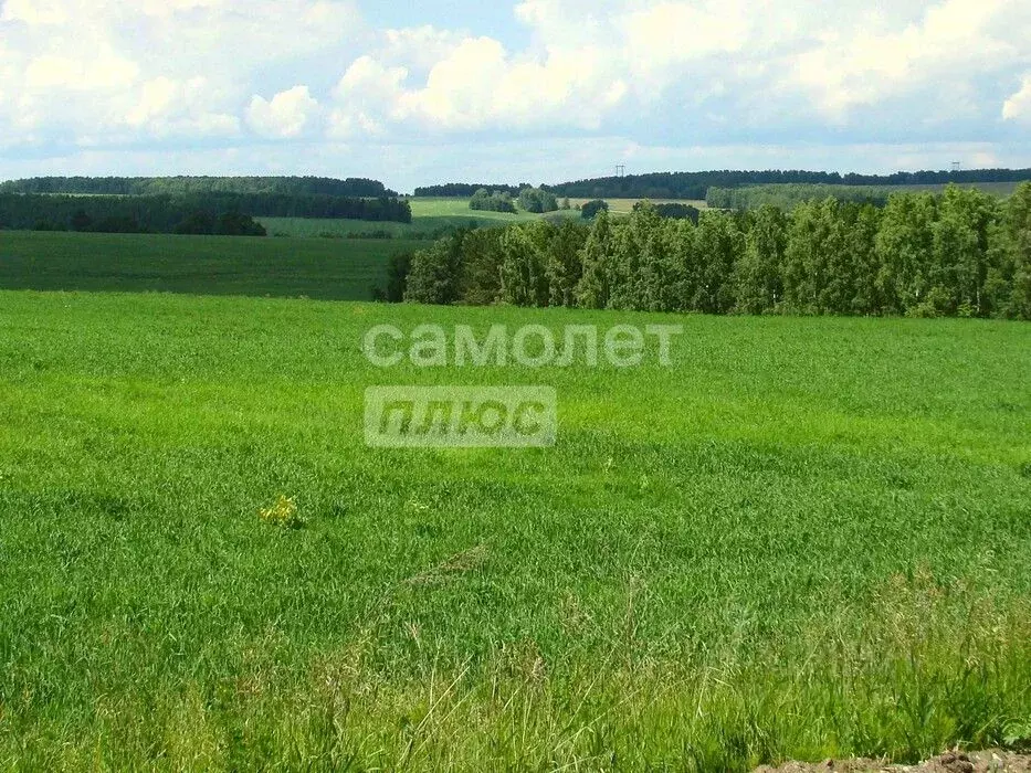 Участок в Иркутская область, Шелеховский район, с. Баклаши  (6.0 сот.) - Фото 0