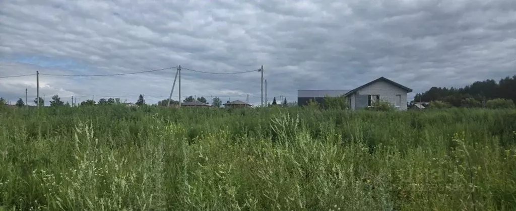 Участок в Московская область, Пушкинский городской округ, д. Березняки ... - Фото 0