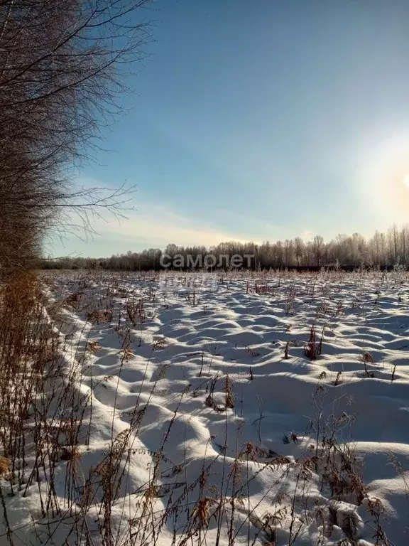 Участок в Нижегородская область, Бор городской округ, д. Васильково  ... - Фото 0