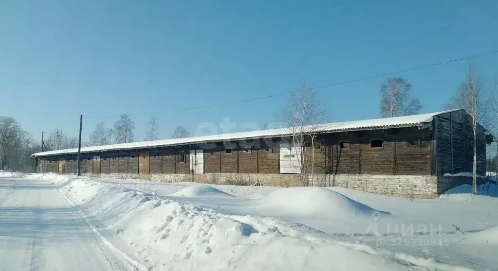 Участок в Вологодская область, Бабаево ул. Мира (56.05 сот.) - Фото 1