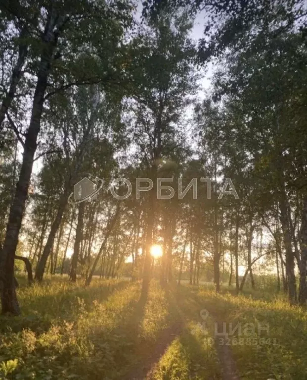 Участок в Тюменская область, Нижнетавдинский муниципальный округ, ... - Фото 2