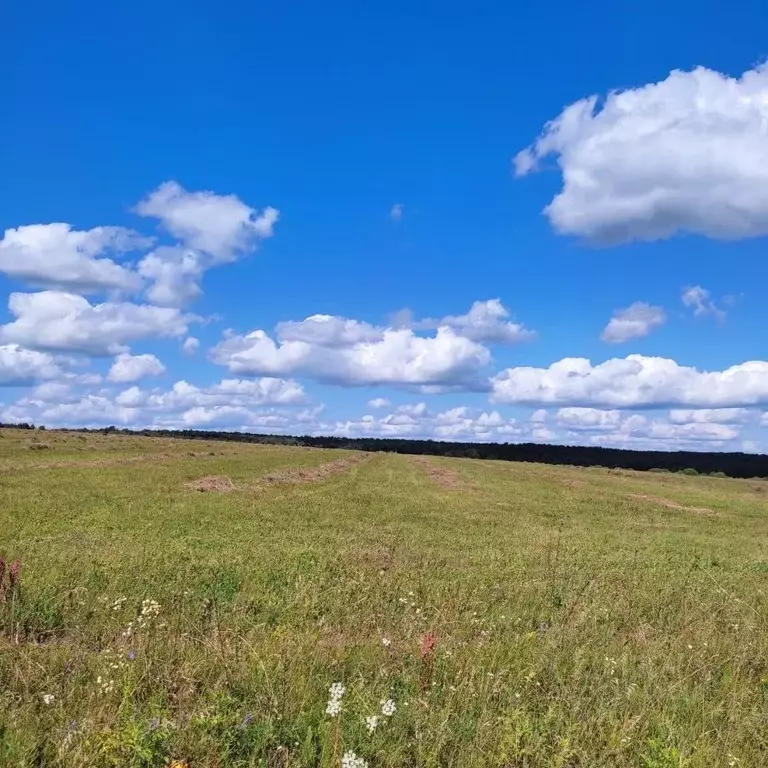 Участок в Башкортостан, Иглинский район, Кальтовский сельсовет  (40.0 ... - Фото 1