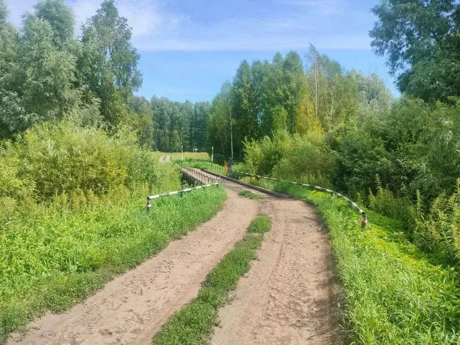 Участок в Новосибирская область, Новосибирский район, с. Ярково  (12.0 ... - Фото 0