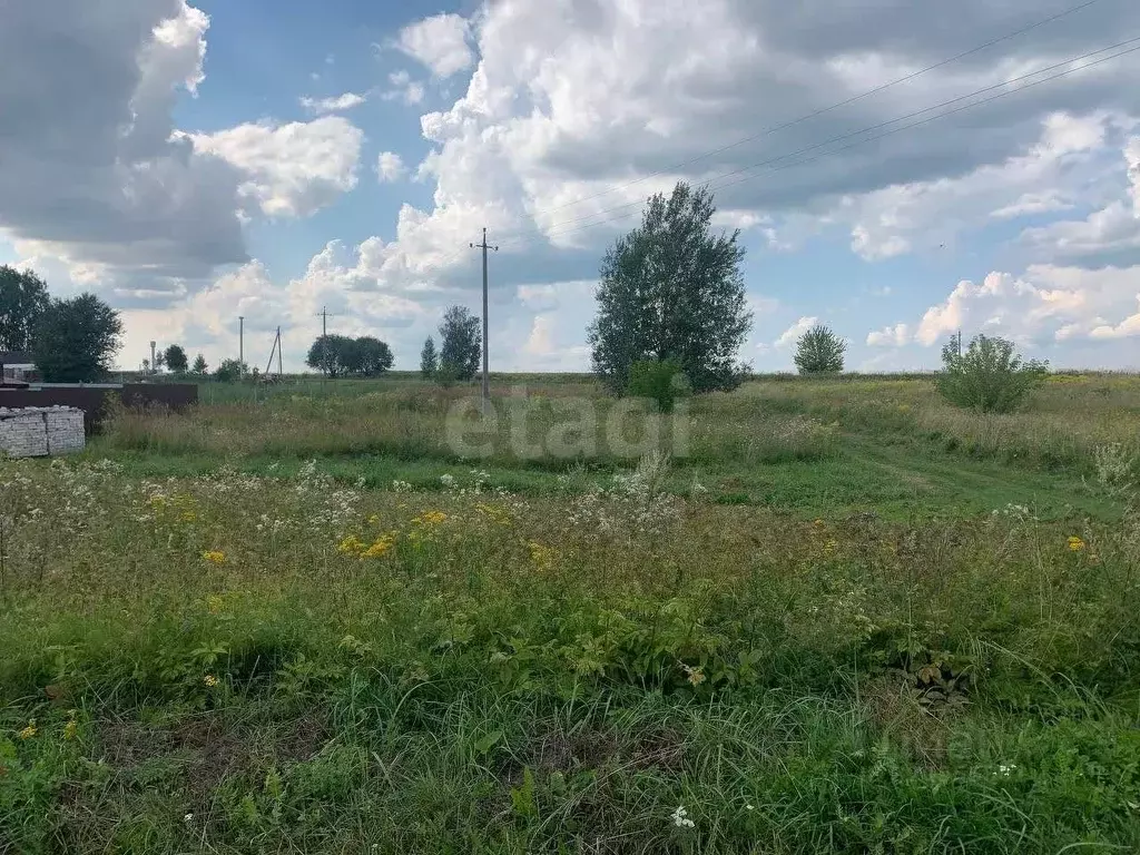Участок в Брянская область, Брянский район, Глинищевское с/пос, с. ... - Фото 2