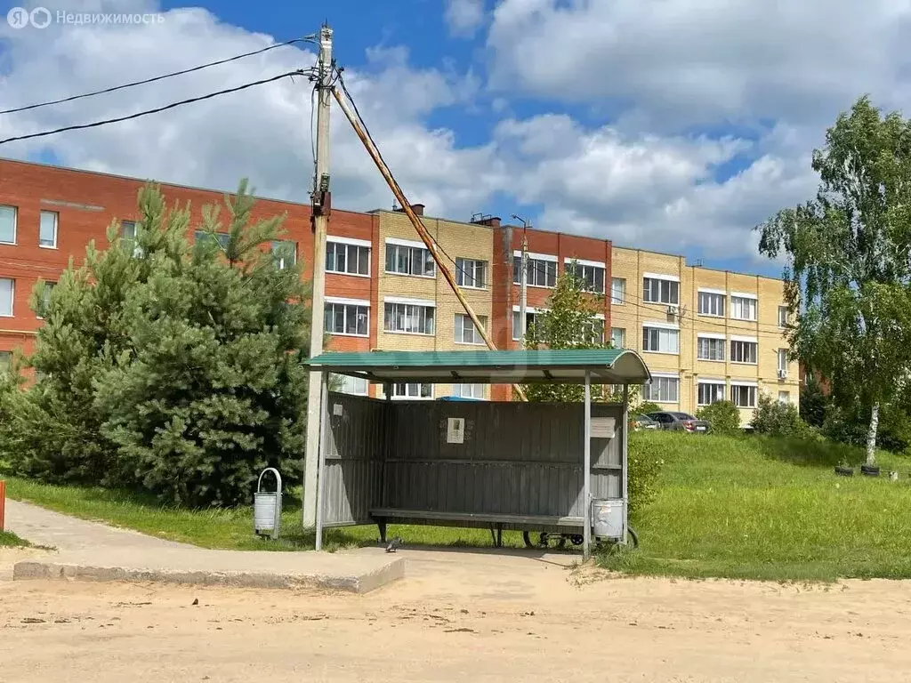 Участок в Ярославский муниципальный округ, деревня Ермолово (10 м) - Фото 1