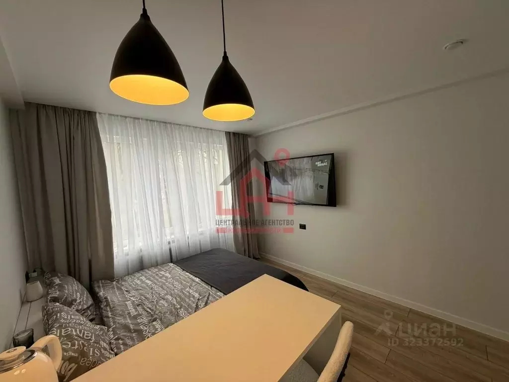 1-к кв. Ставропольский край, Ессентуки Баррикадная ул., 2 (16.5 м) - Фото 1