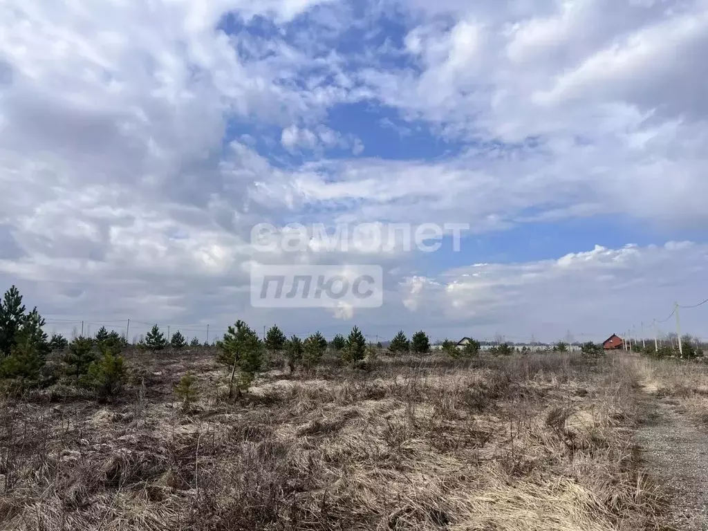 Участок в Липецкая область, Задонский муниципальный округ, с. Казино  ... - Фото 2