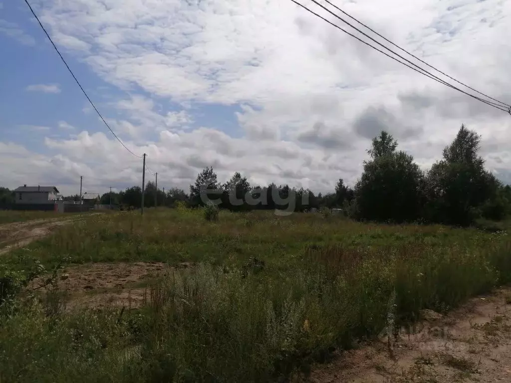 Участок в Нижегородская область, Выкса городской округ, Шиморское рп ... - Фото 1