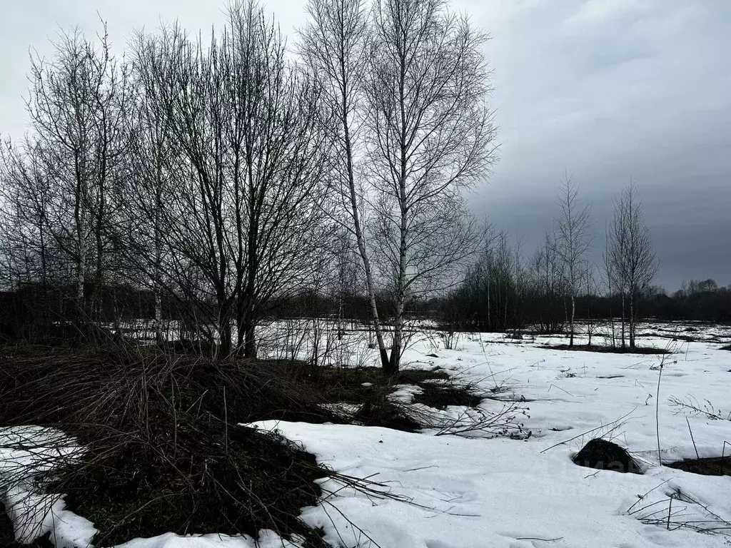 Участок в Московская область, Ступино городской округ, с. Сотниково  ... - Фото 2