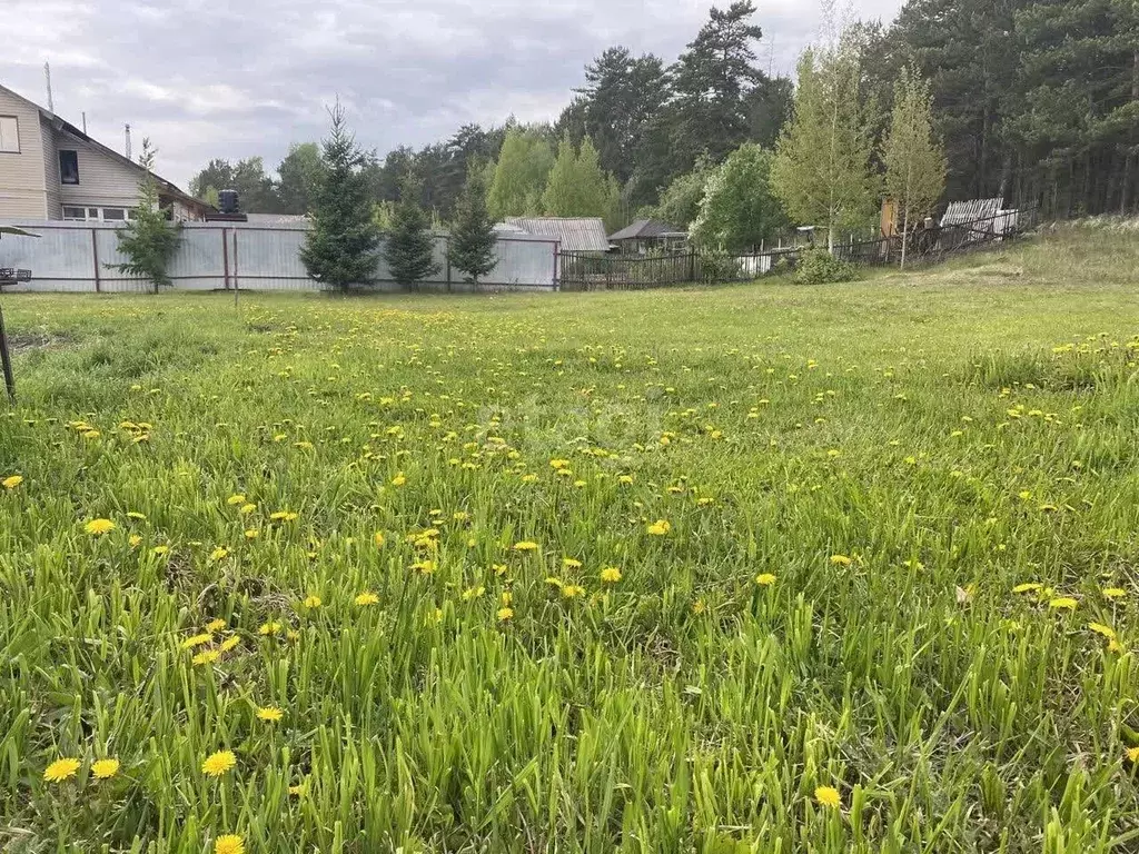 Участок в Алтайский край, Барнаул городской округ, Поселок Борзовая ... - Фото 1