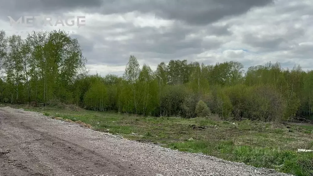 Участок в Новосибирская область, Новосибирский район, Каменский ... - Фото 0