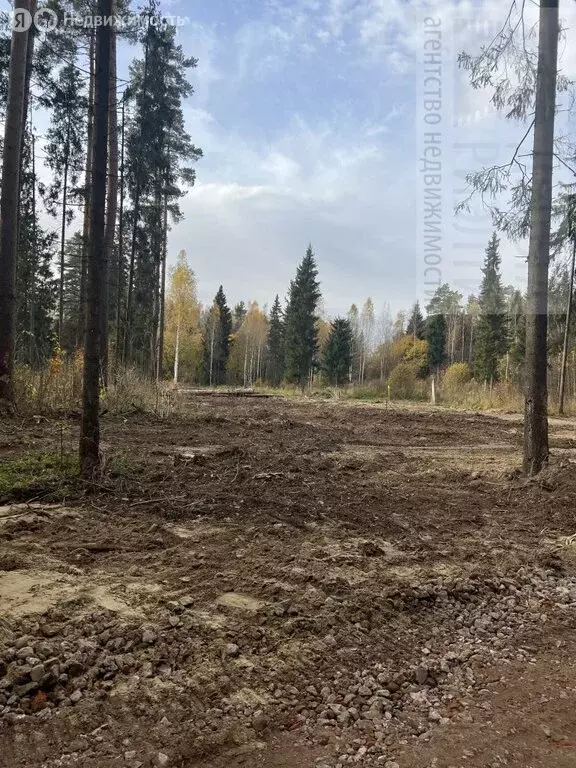 Участок в Куликовское сельское поселение, деревня Малинки (13.7 м) - Фото 2