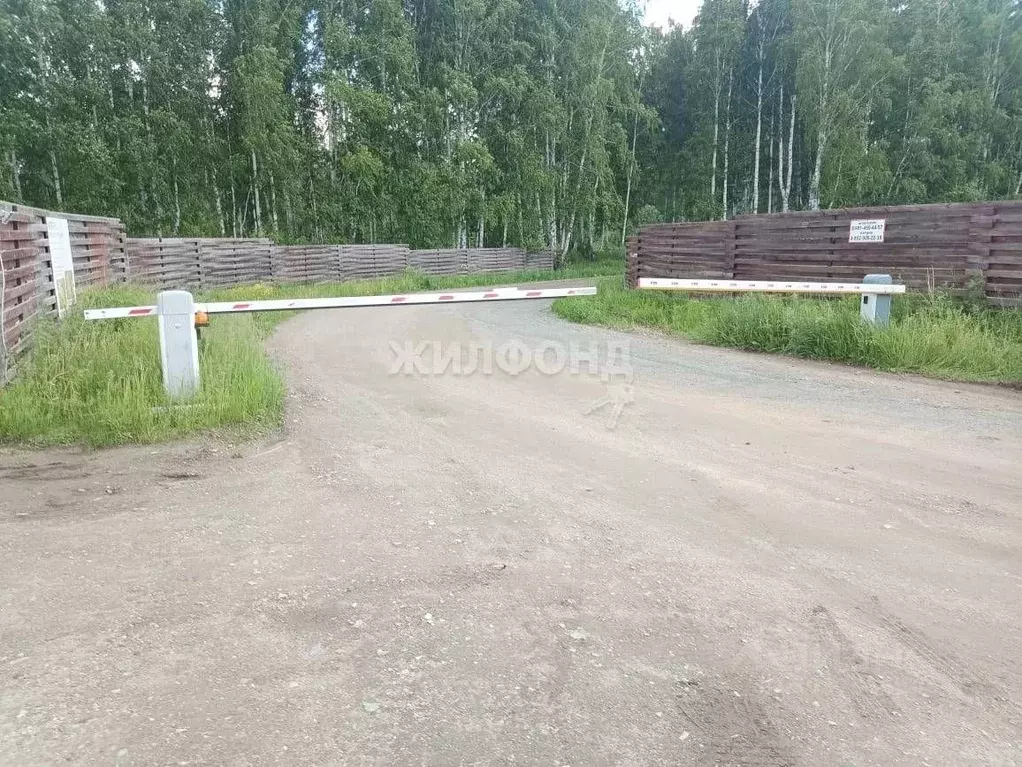 Участок в Новосибирская область, Мошковский район, пос. Барлакский  ... - Фото 1