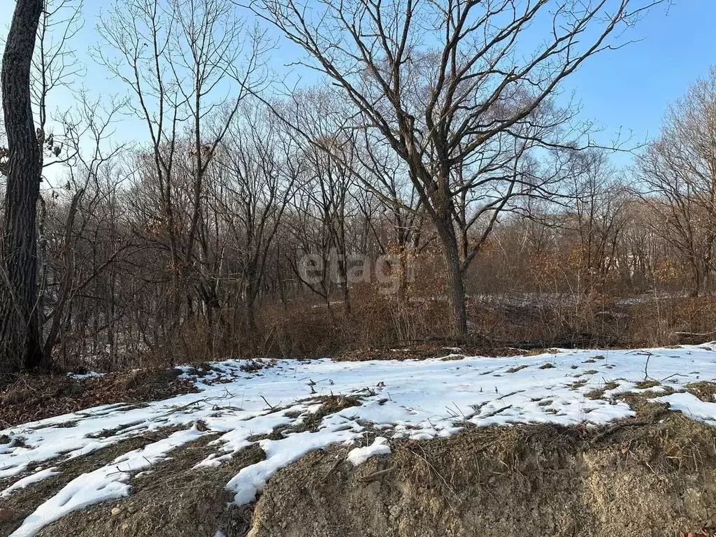 Участок в Приморский край, Надеждинский район, Тавричанское урочище, ... - Фото 1