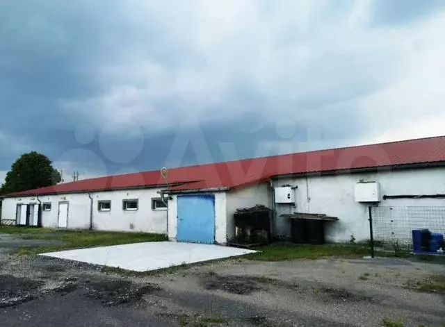 Аукцион. Здание(колбасный цех), 1121.9 м + уч. 4 - Фото 0