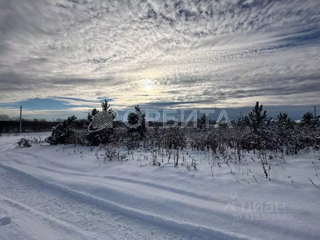 Участок в Тюменская область, Тюменский район, д. Елань ул. Сосновая ... - Фото 1