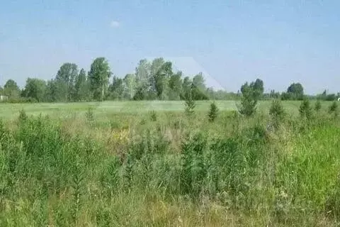 Участок в Нижегородская область, Богородский муниципальный округ, д. ... - Фото 1