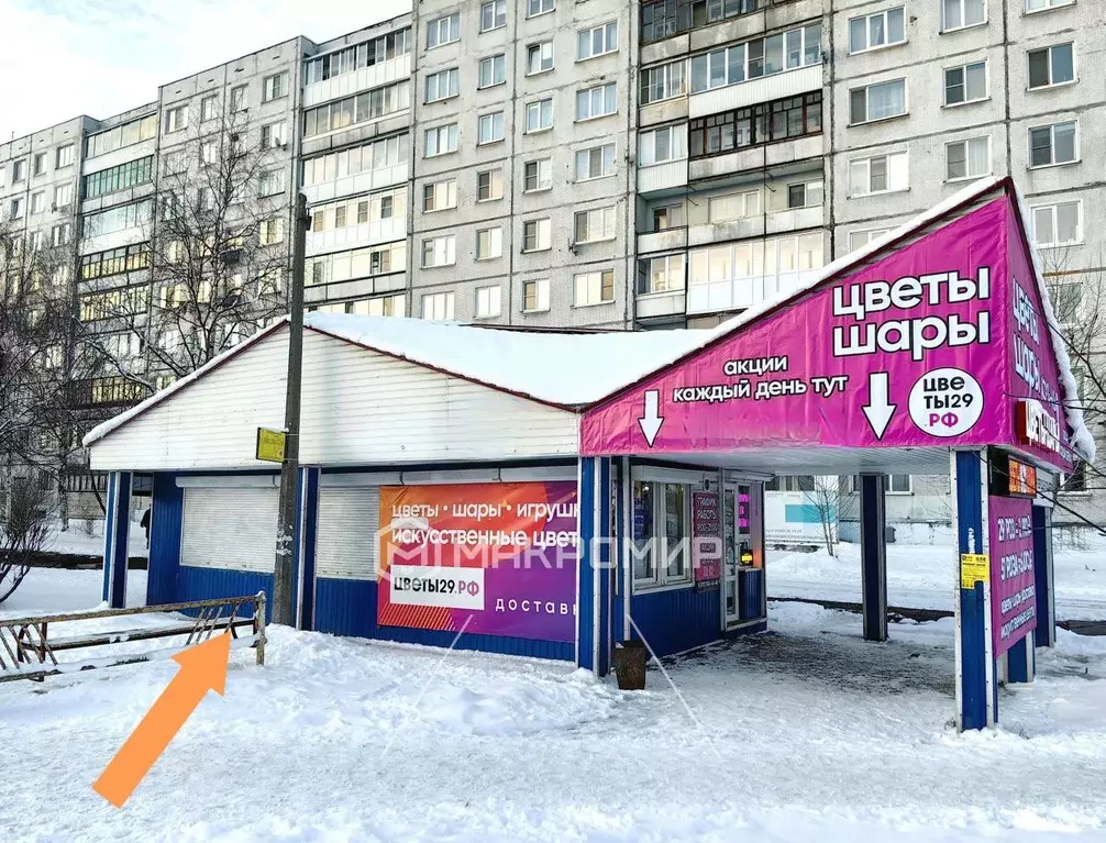 Помещение свободного назначения в Архангельская область, Архангельск ... - Фото 1