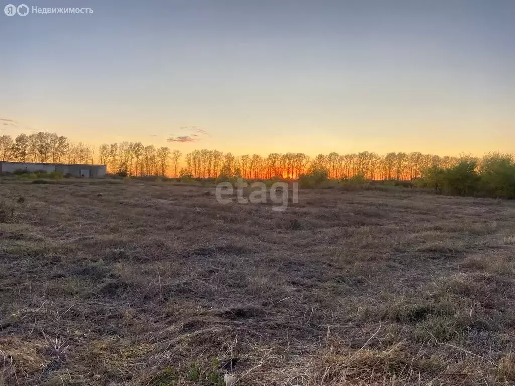 Участок в Амурская область, село Тамбовка (15 м) - Фото 0