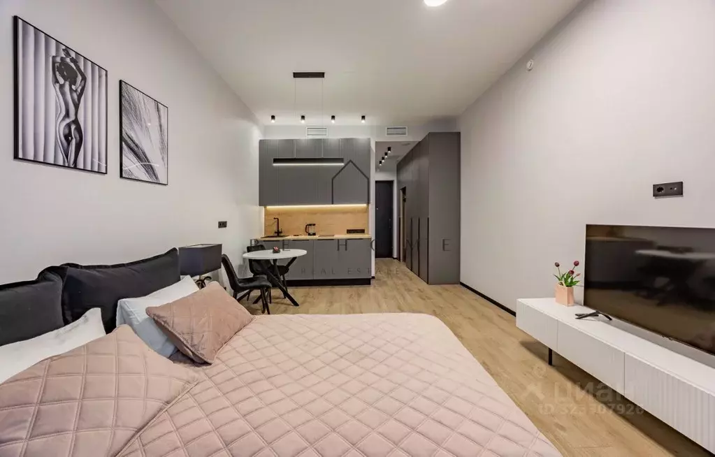 Студия Санкт-Петербург наб. Макарова, 58 (30.0 м) - Фото 2