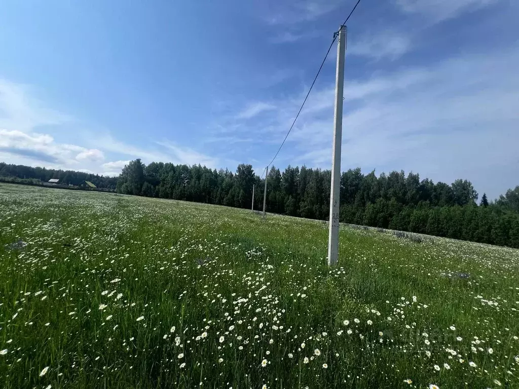 Участок в Пермский край, Пермский муниципальный округ, д. Карасье ул. ... - Фото 1