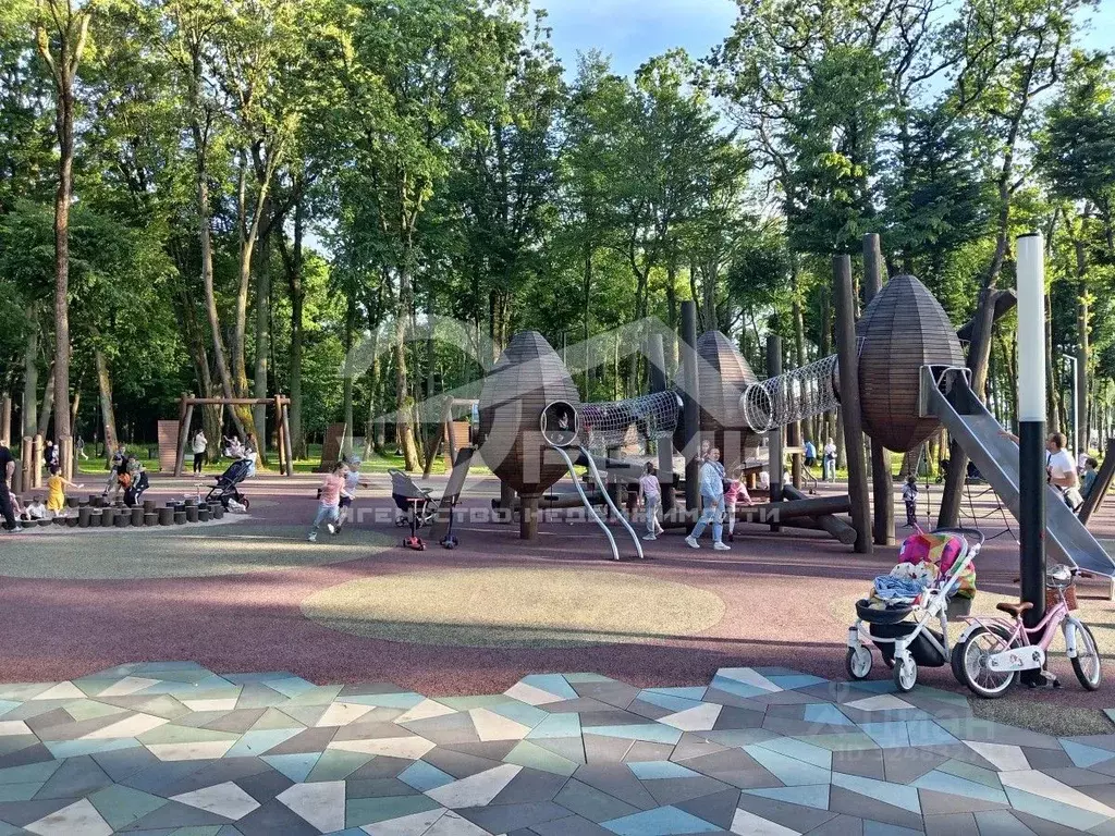 2-к кв. Калининградская область, Гурьевск ул. Героя России ... - Фото 2