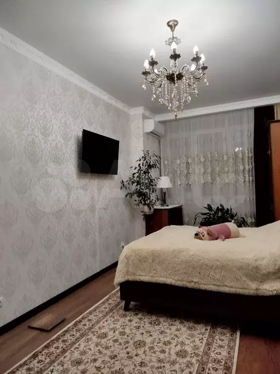 1-к. квартира, 50 м, 5/6 эт. - Фото 1