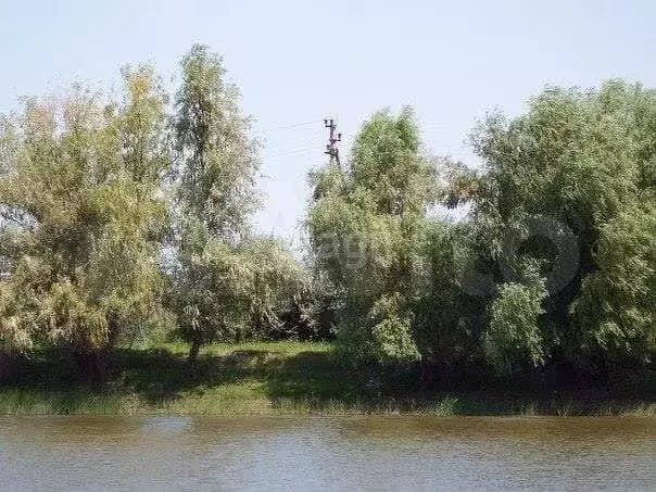 Участок 3,09 га (СНТ, ДНП) - Фото 1