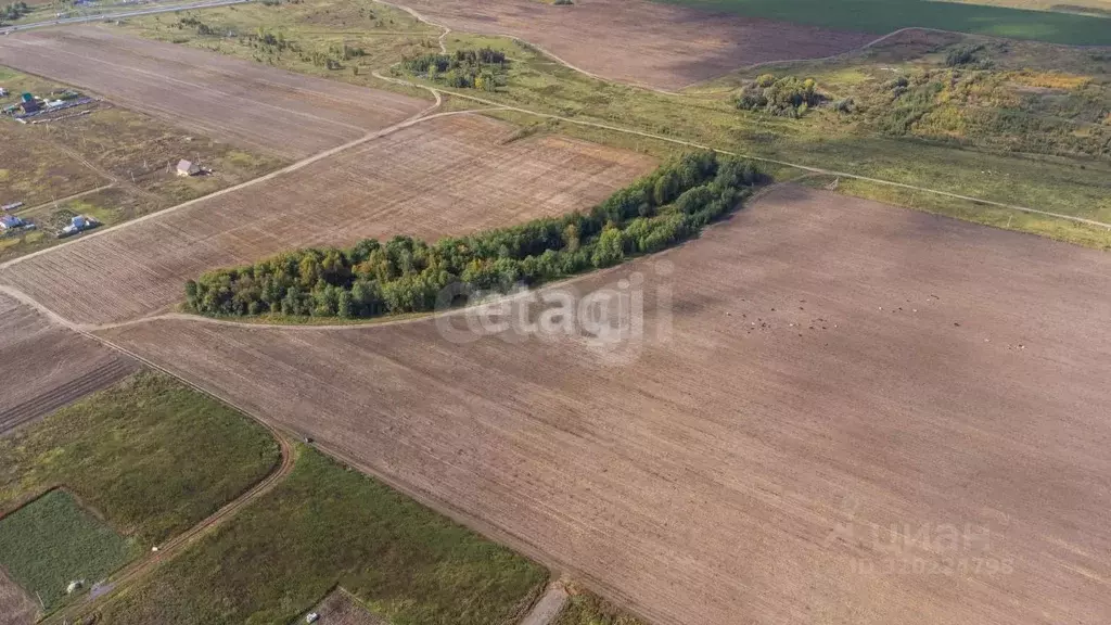 Участок в Тюменская область, Тюменский район, с. Борки  (16.3 сот.) - Фото 0