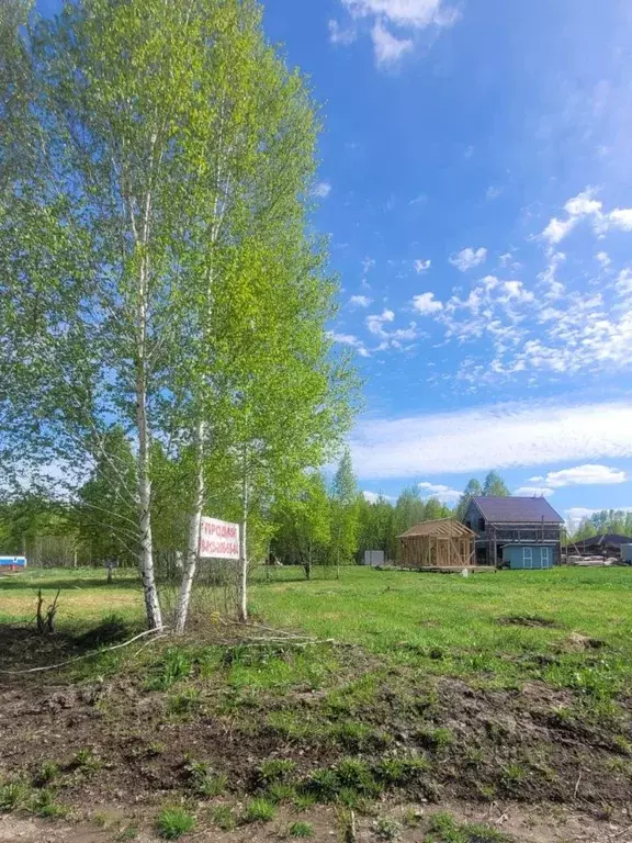 Участок в Новосибирская область, Новосибирский район, Станционный ... - Фото 0