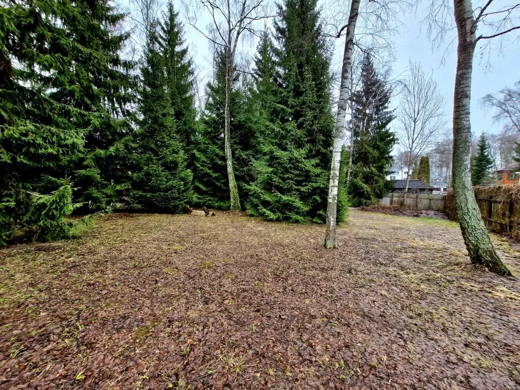 Участок в Москва Заречный кп,  (13.9 сот.) - Фото 2