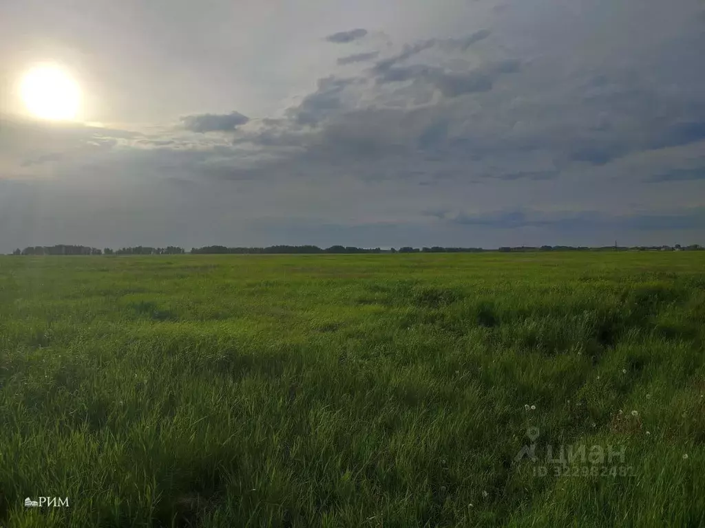 Участок в Тульская область, Дубенский район, Воскресенское с/пос, д. ... - Фото 2