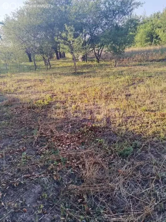 Дом в Корочанский район, Мелиховское сельское поселение, садовое ... - Фото 2