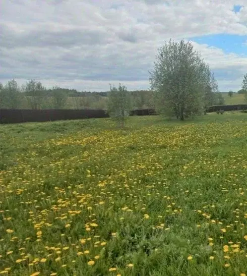 Участок в Московская область, Сергиево-Посадский городской округ, д. ... - Фото 1