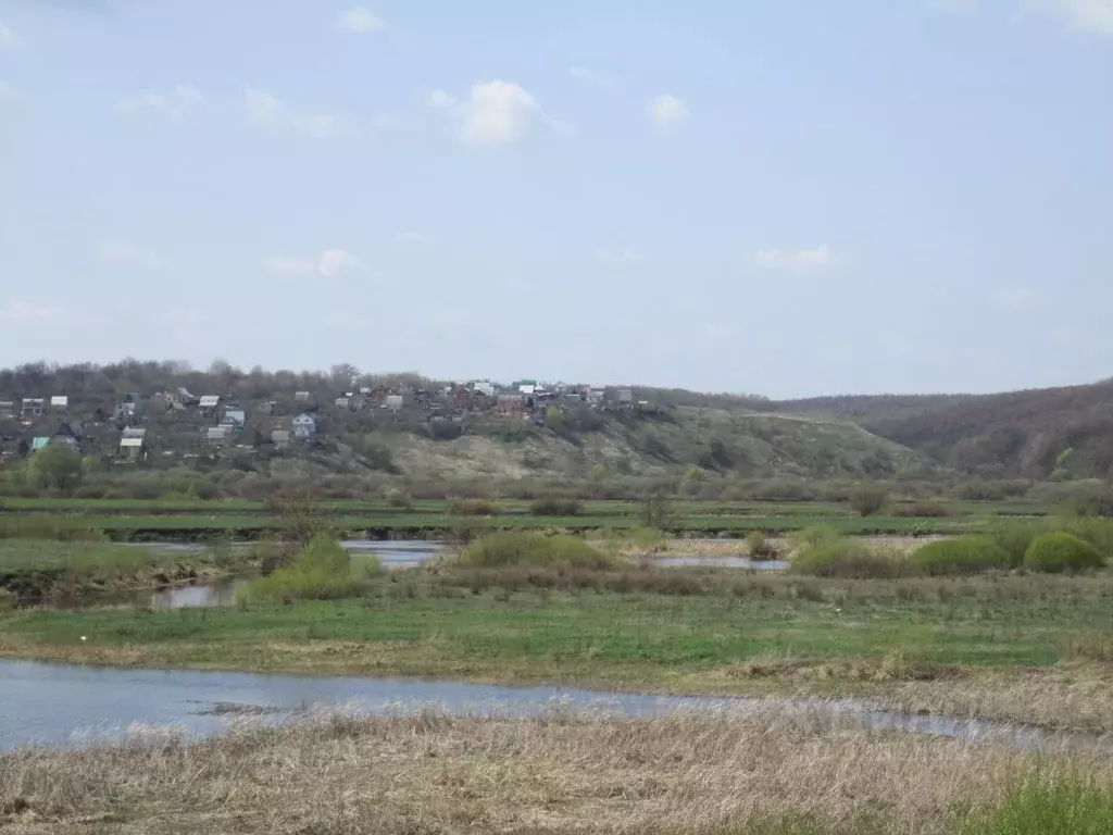 Участок в Воронежская область, Рамонский район, Ступинское с/пос  ... - Фото 1