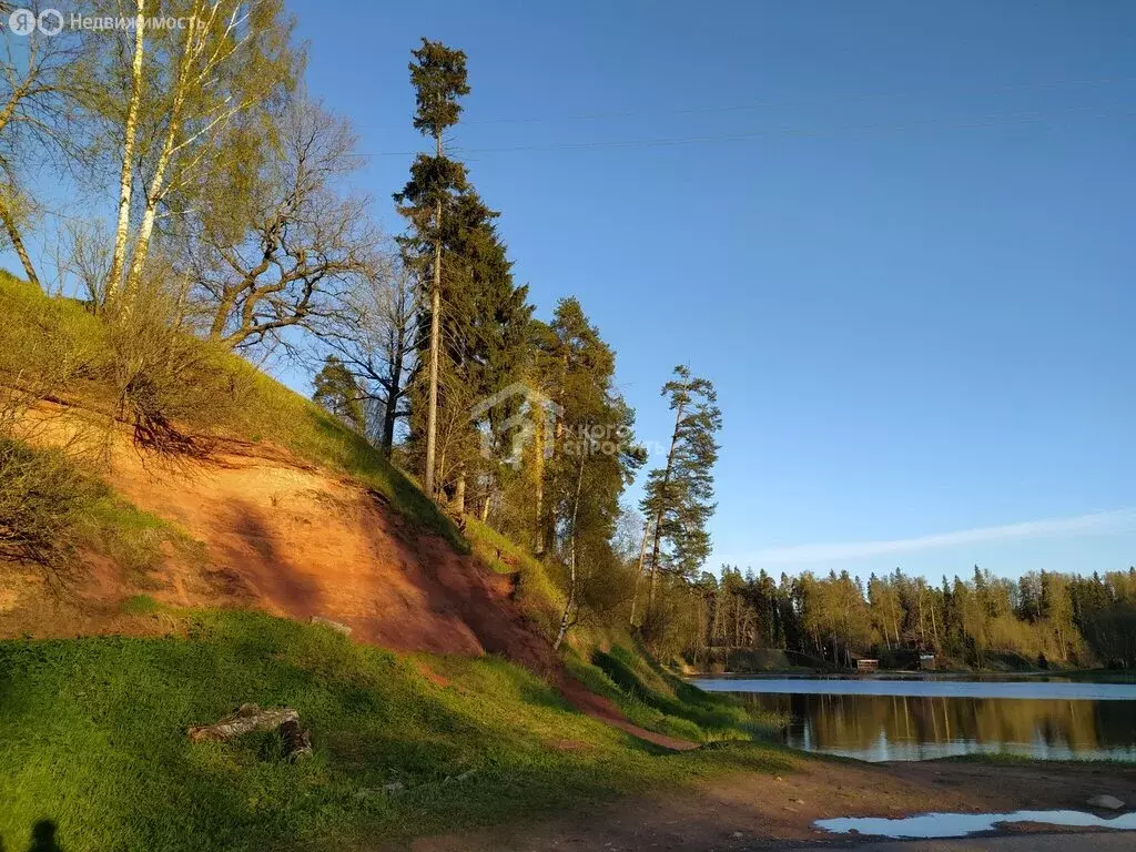 2-комнатная квартира: деревня Белогорка, Институтская улица, 15 (55.4 ... - Фото 1